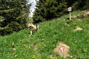 22 Dori dalla stradetta prende il sentiero di sx, quello che serve a noi !